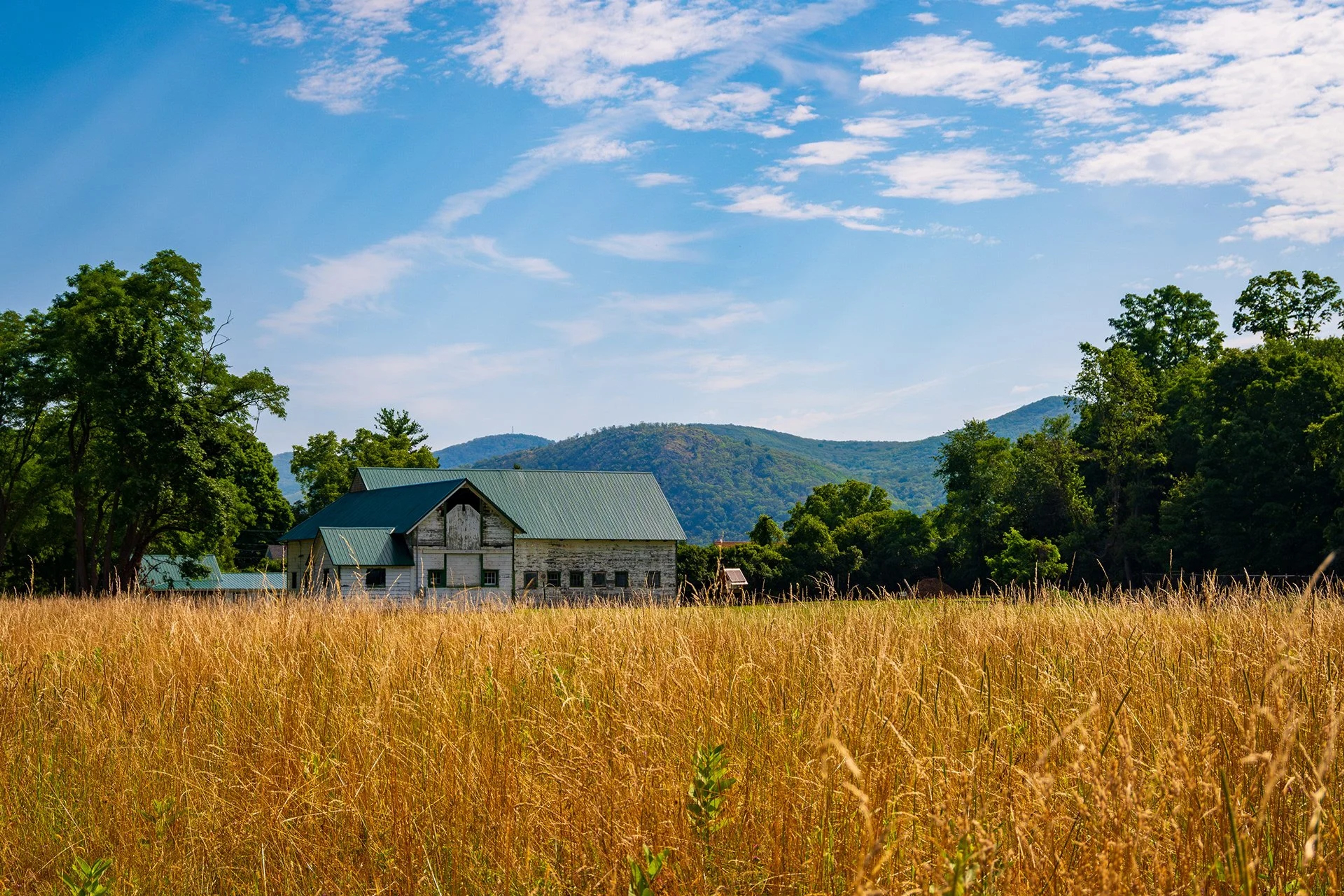 An abandoned white farmhouse with a green metal roof stands in a golden grain field, backed by forested mountains under a partly cloudy sky.