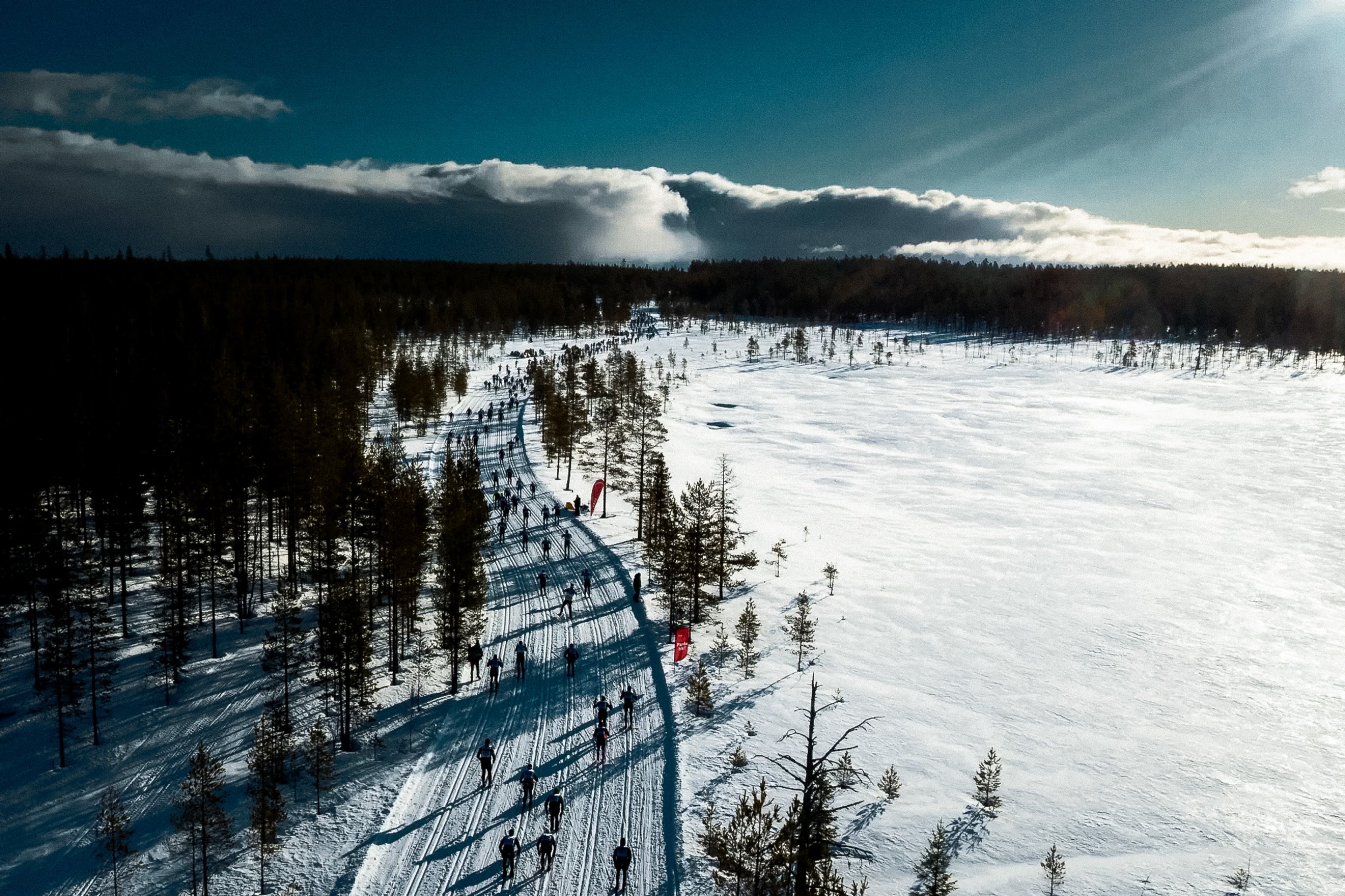 Many cross-country skiers follow a track between a dark forest and a bright snowy expanse.