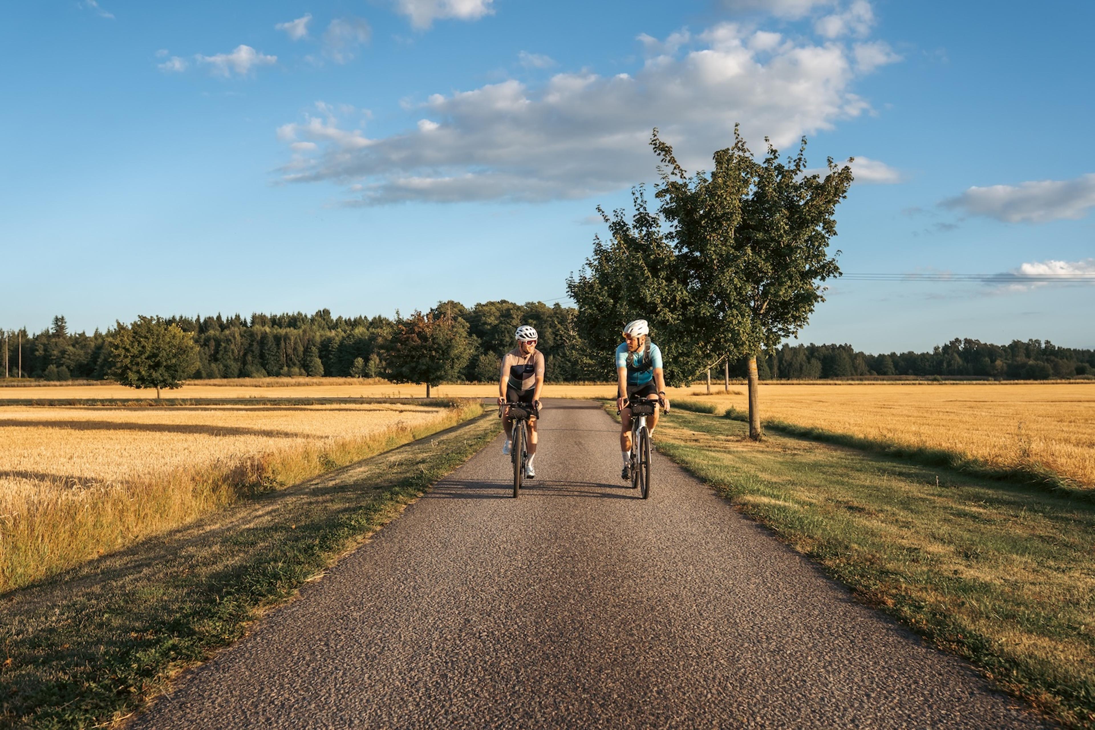 Two cyclists on a paved road surrounded by golden fields under a blue sky.