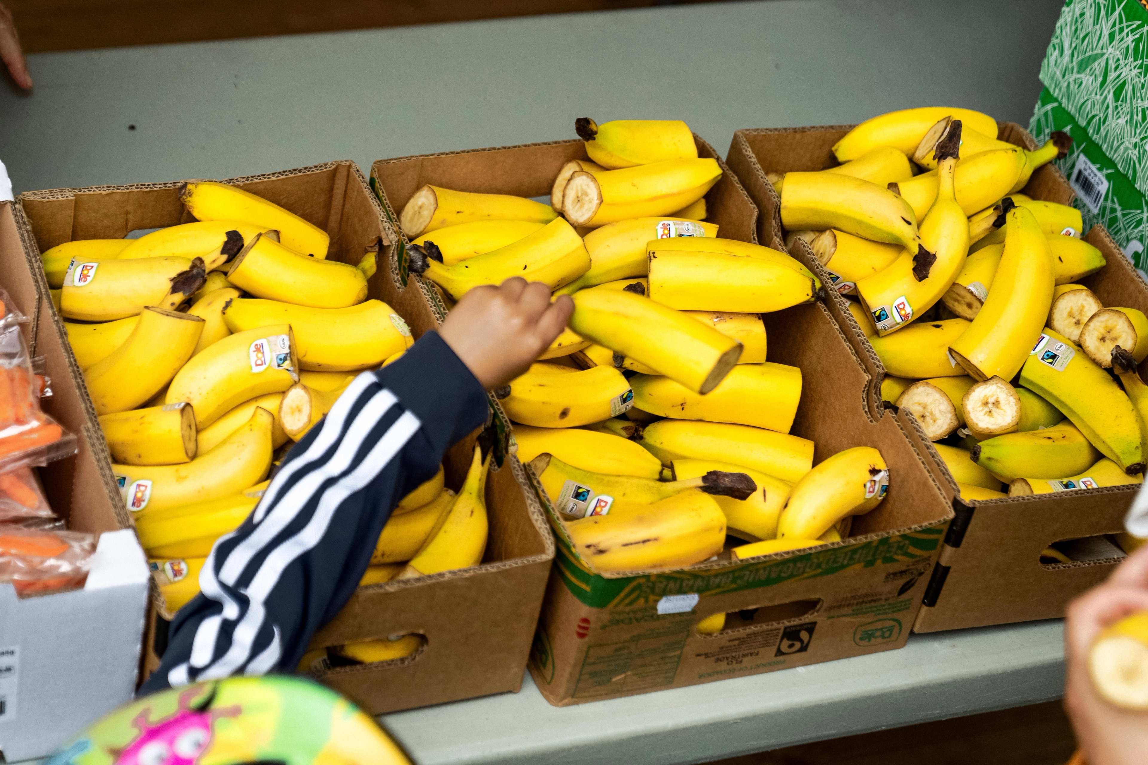 A child's arm reaches into a cardboard box filled with ripe yellow bananas.