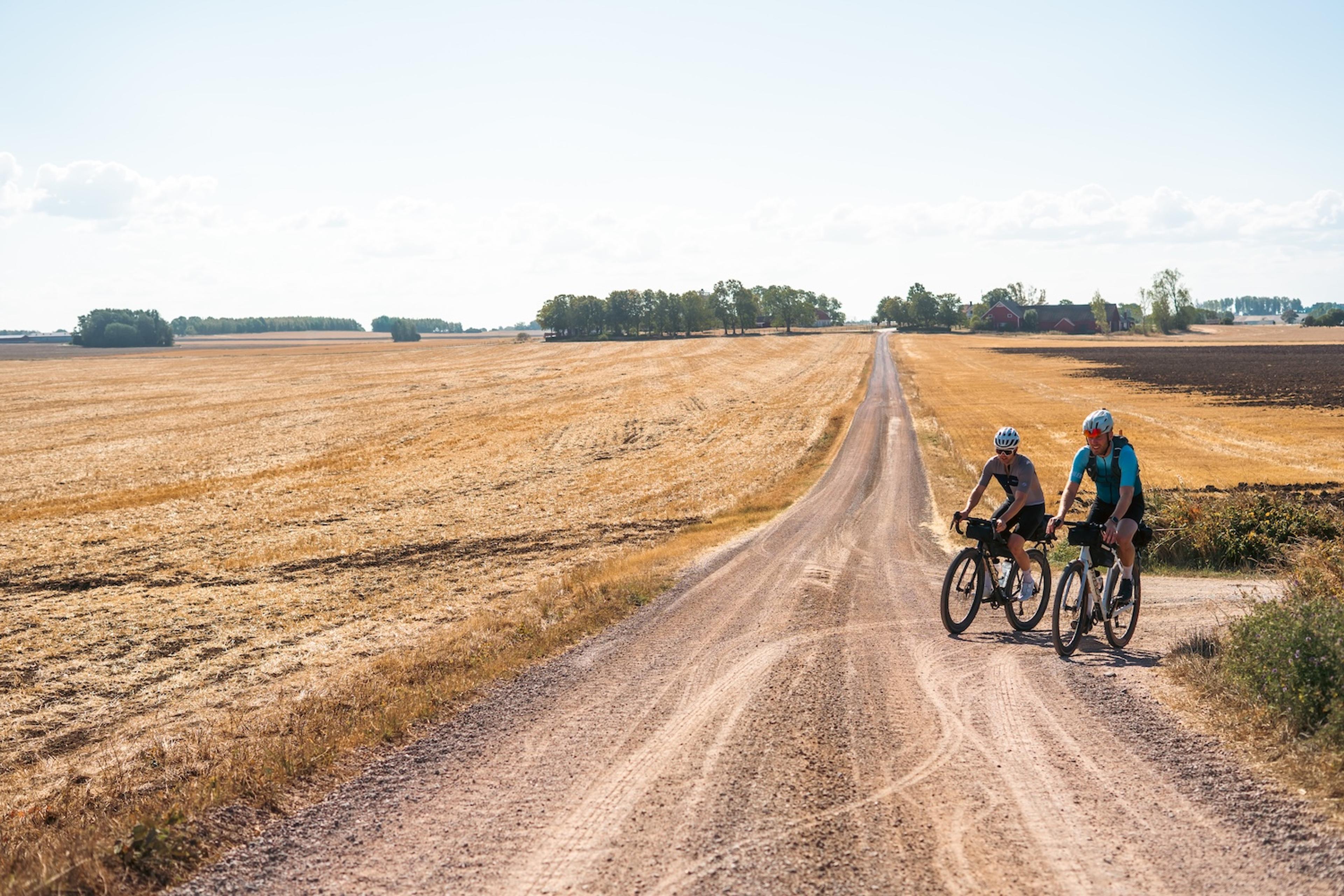 Two cyclists ride down a long gravel road through golden fields.