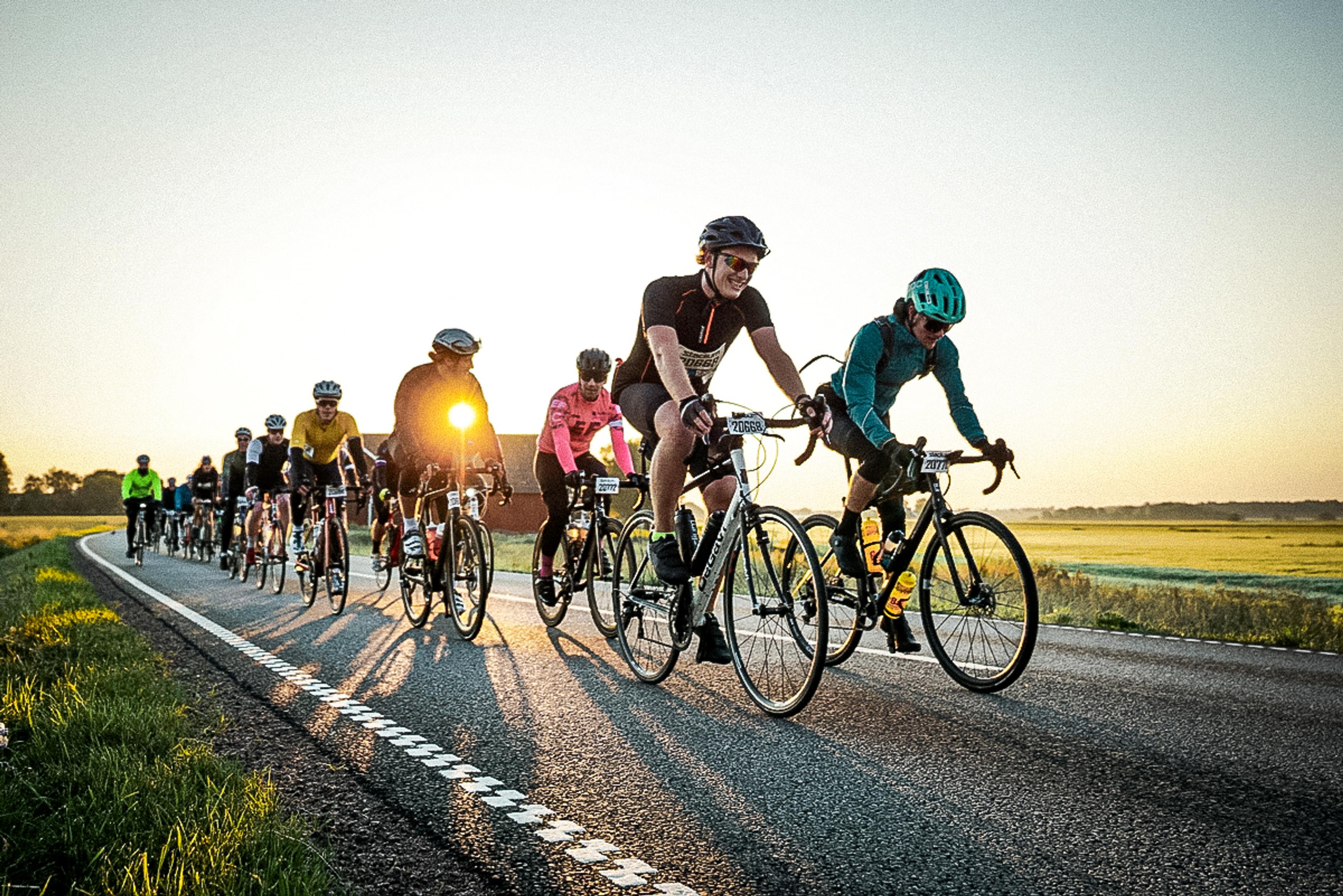 A group of cyclists rides down a paved road through green fields during golden hour, with the sun bright and low in the sky.