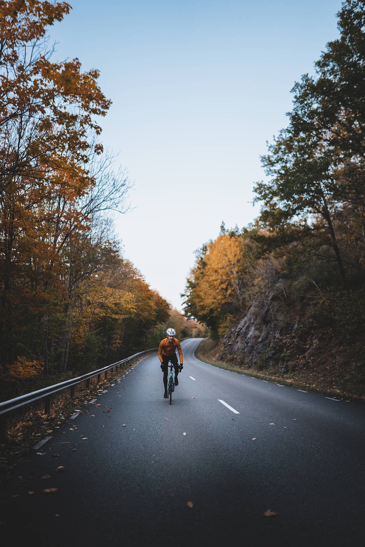 A cyclist rides on a winding road surrounded by autumn trees.