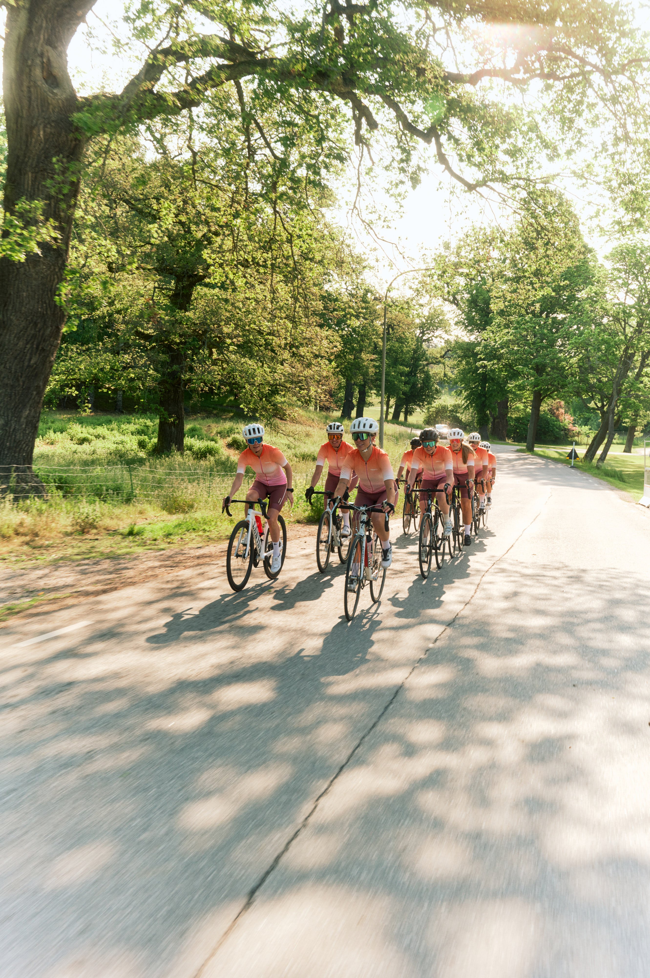 A group of cyclists in matching jerseys and helmets rides down a sunny, tree-lined road, casting long shadows.