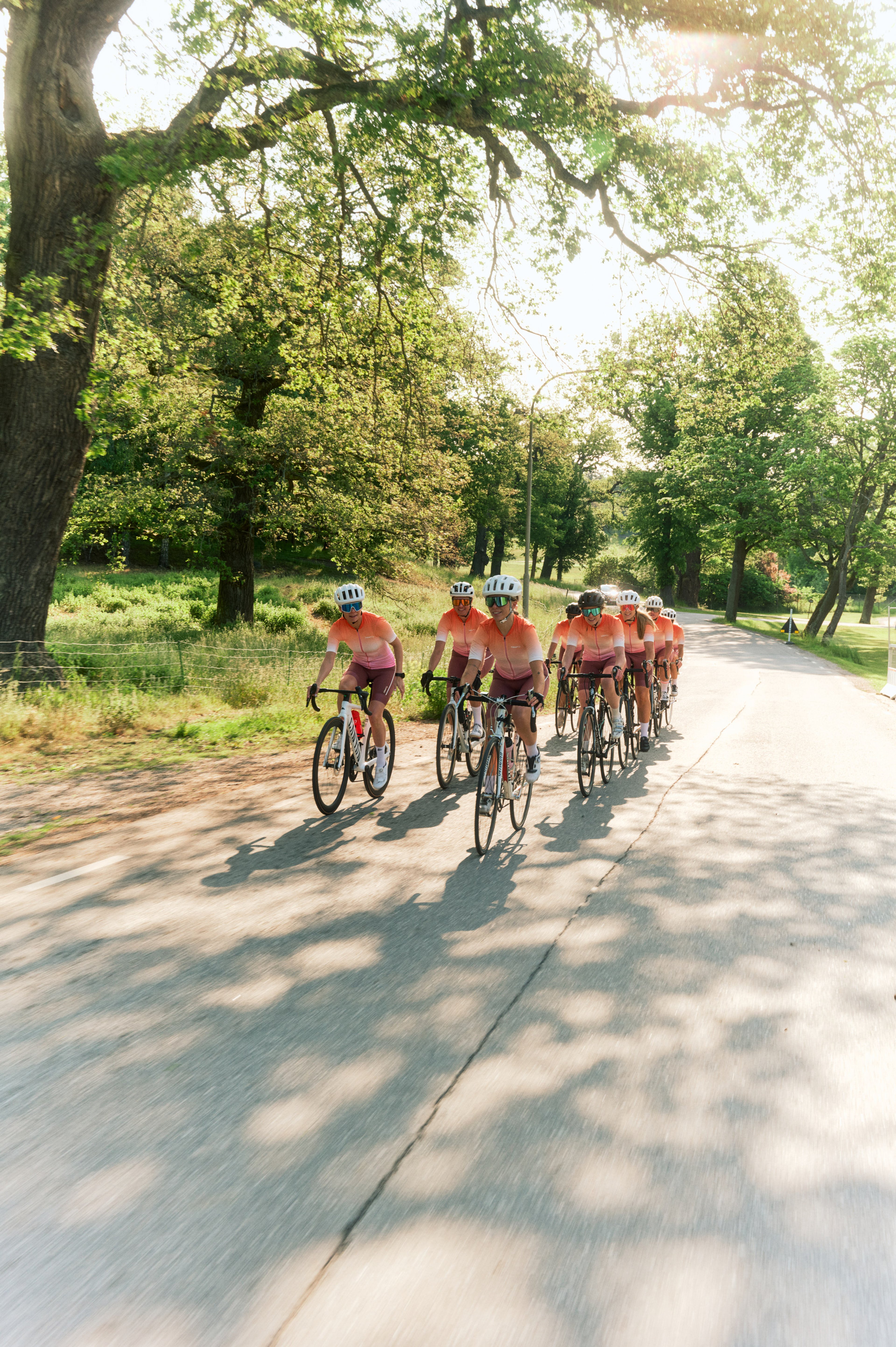 A group of cyclists in matching jerseys and helmets rides down a sunny, tree-lined road, casting long shadows.