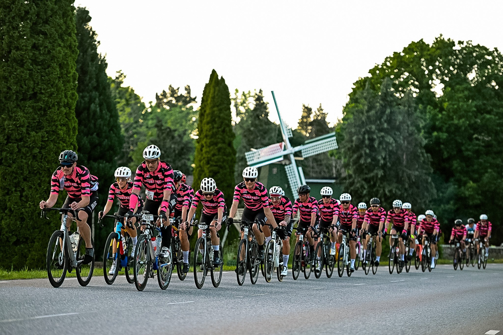 A long line of cyclists in matching black and pink striped jerseys and white helmets ride on a road with a windmill in the background.