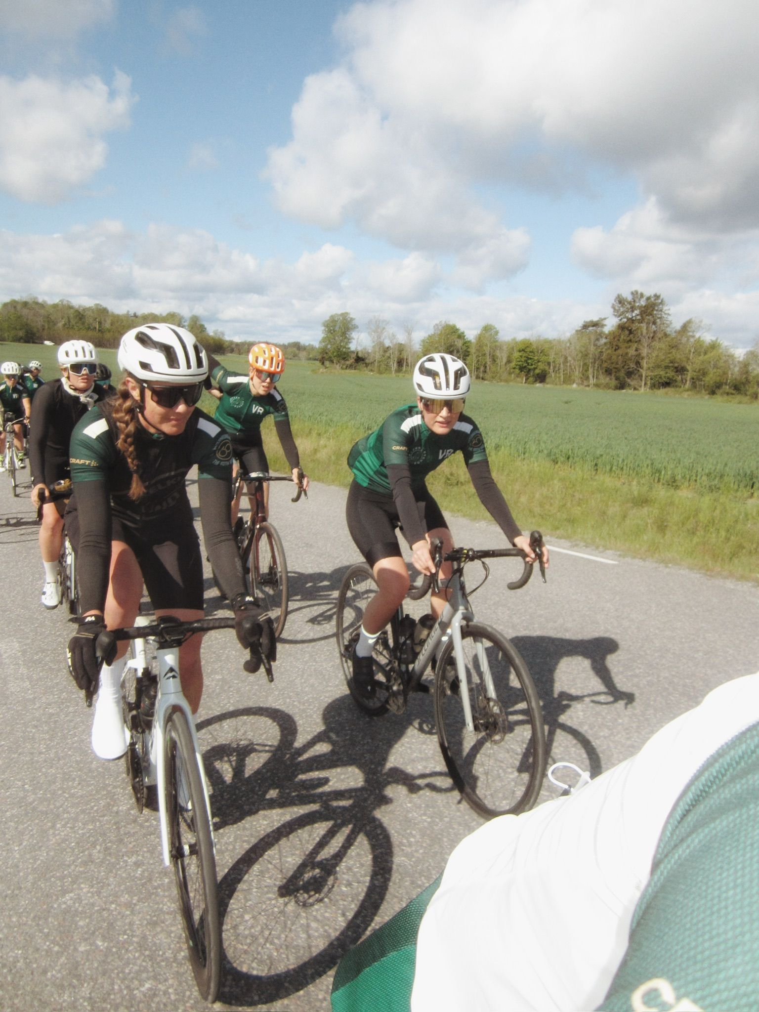Three cyclists ride their bikes on a sunny, tree-lined road, viewed from behind.