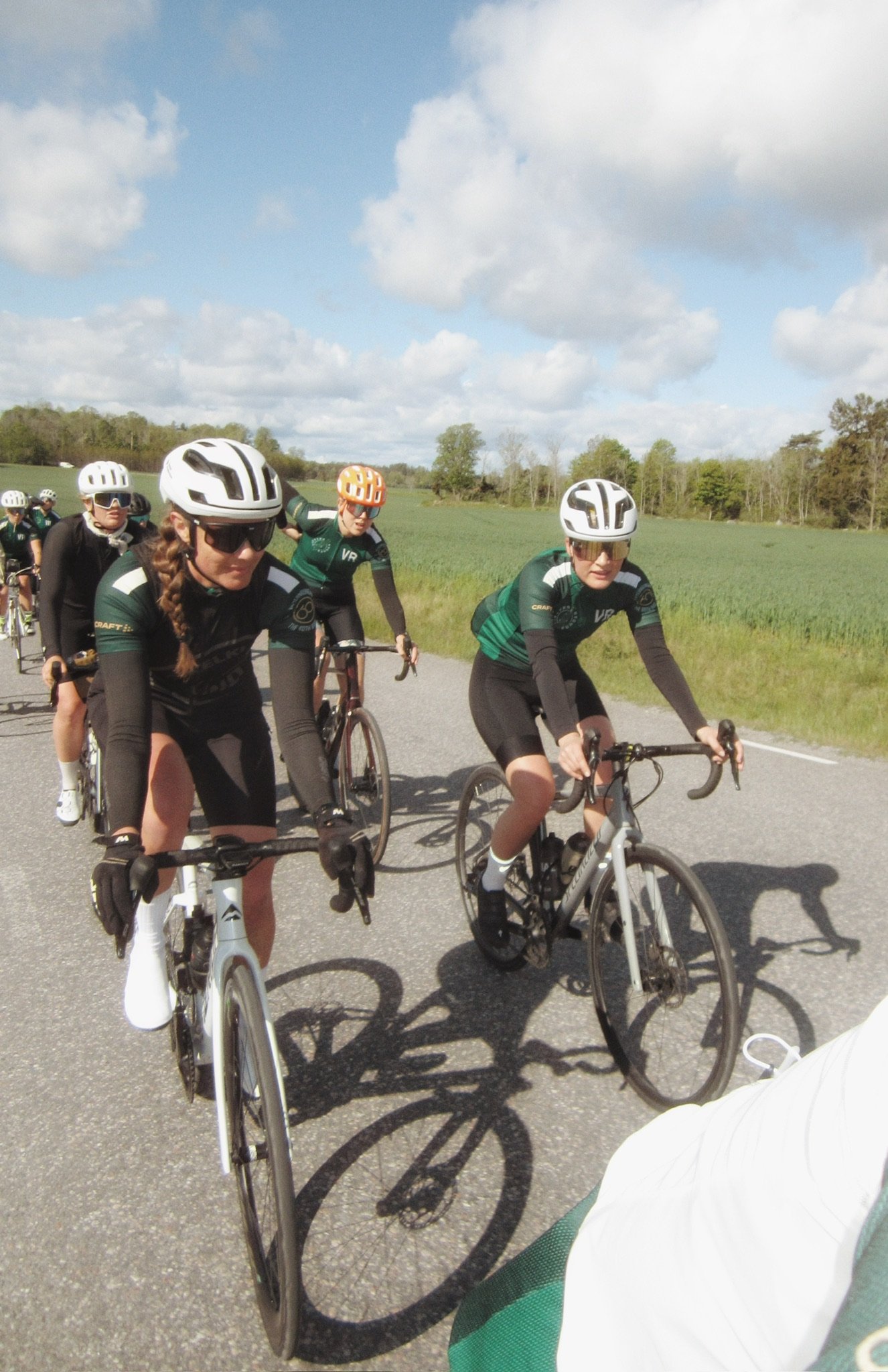 Three cyclists ride their bikes on a sunny, tree-lined road, viewed from behind.