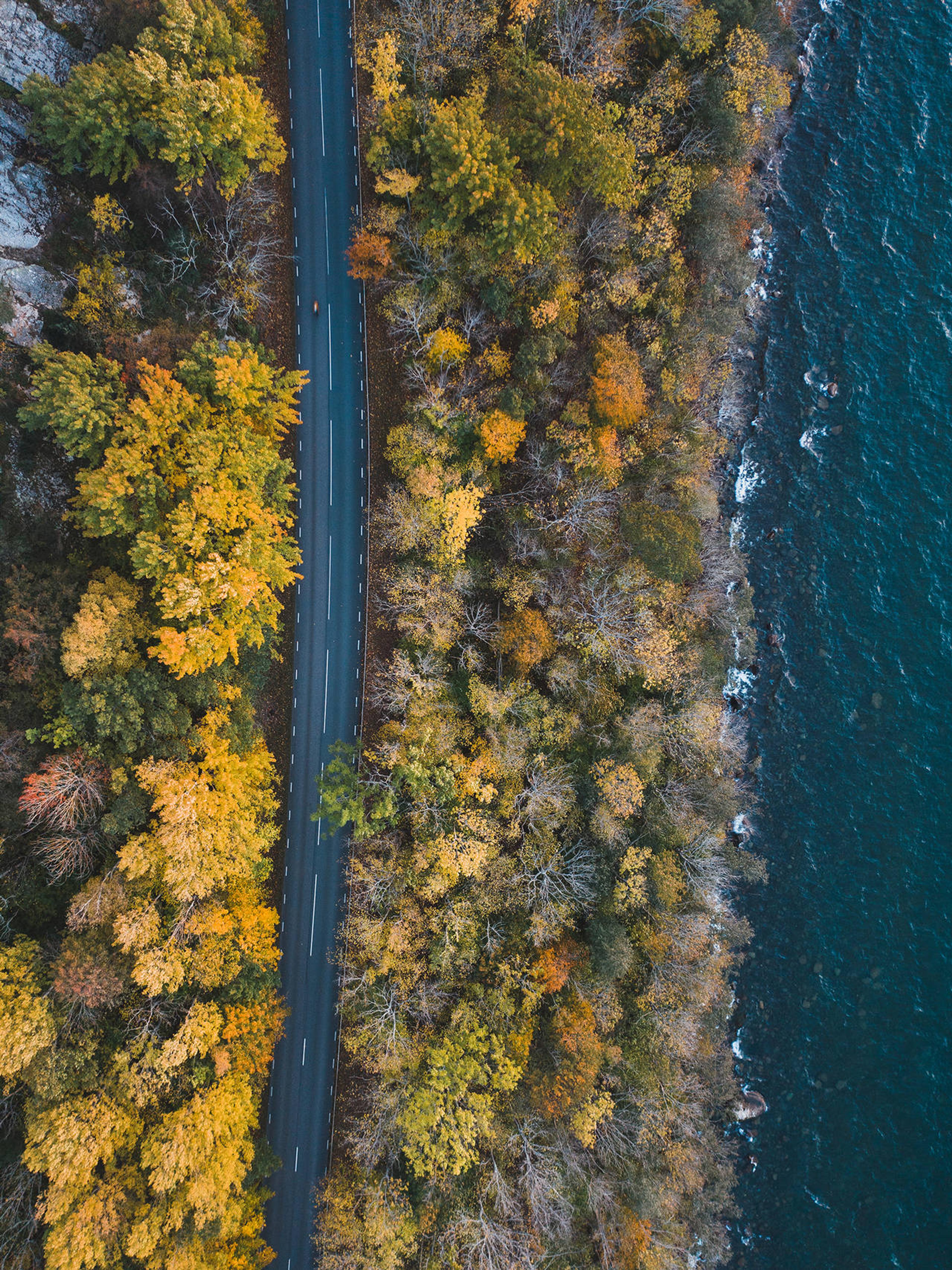 Aerial view of a road bordered by vibrant autumn trees and a dark blue lake.