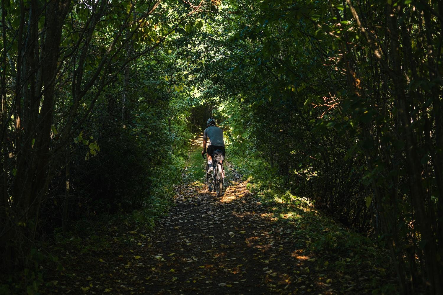 A person bikes on a shaded dirt path through a forest towards sunlight.
