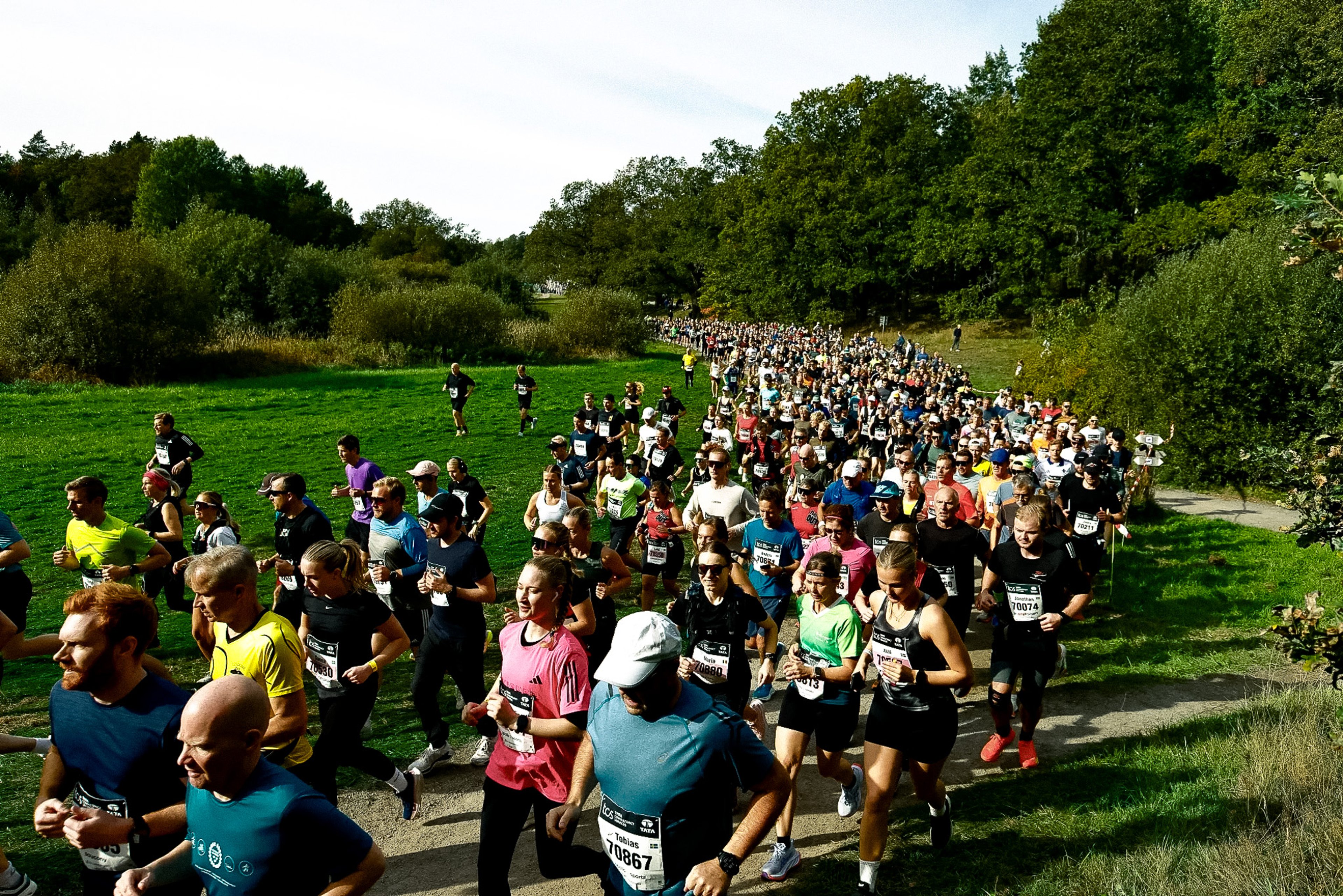 A large group of runners on a path through a green park.