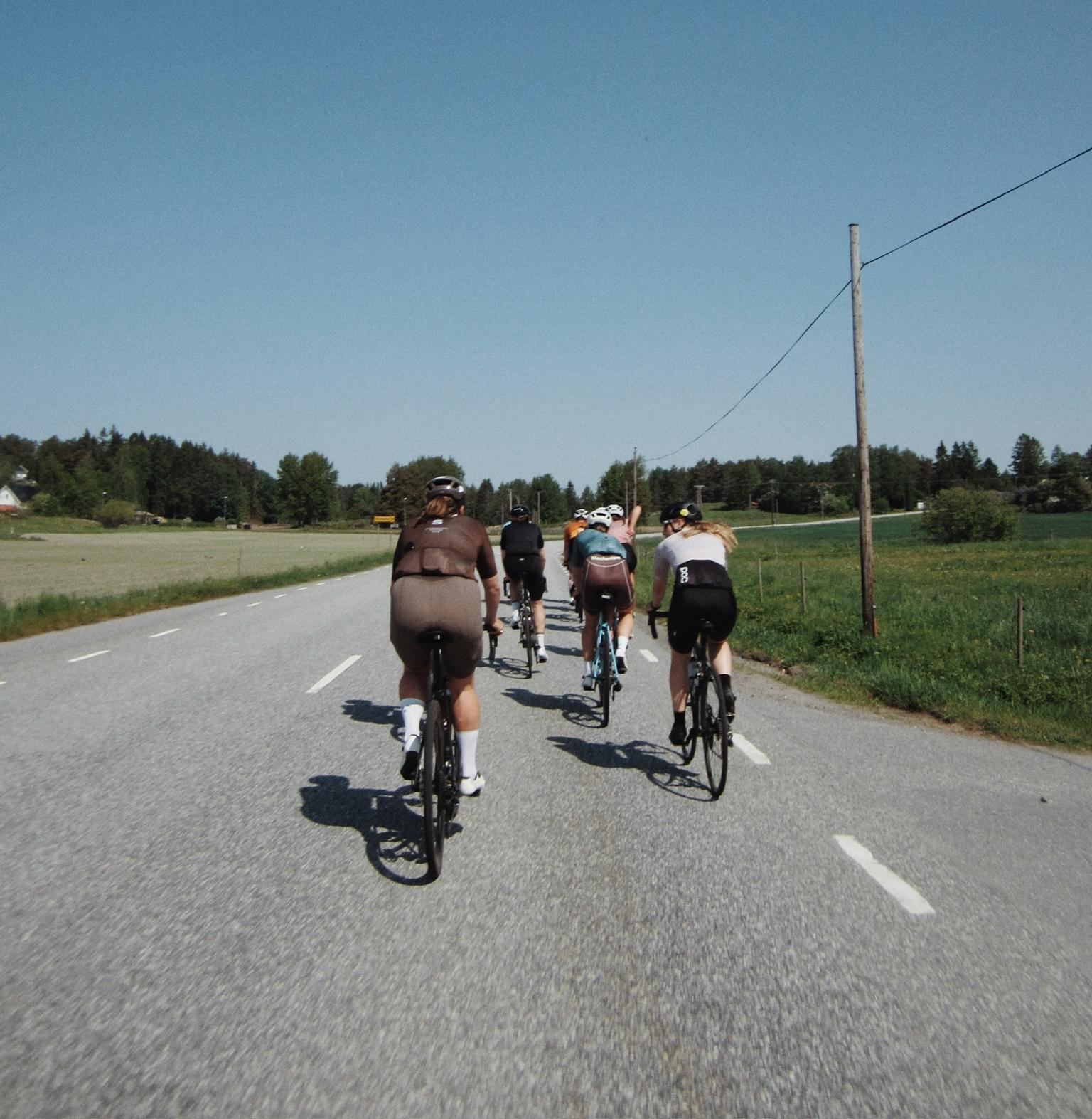 A group of cyclists rides away on a sunny rural road.