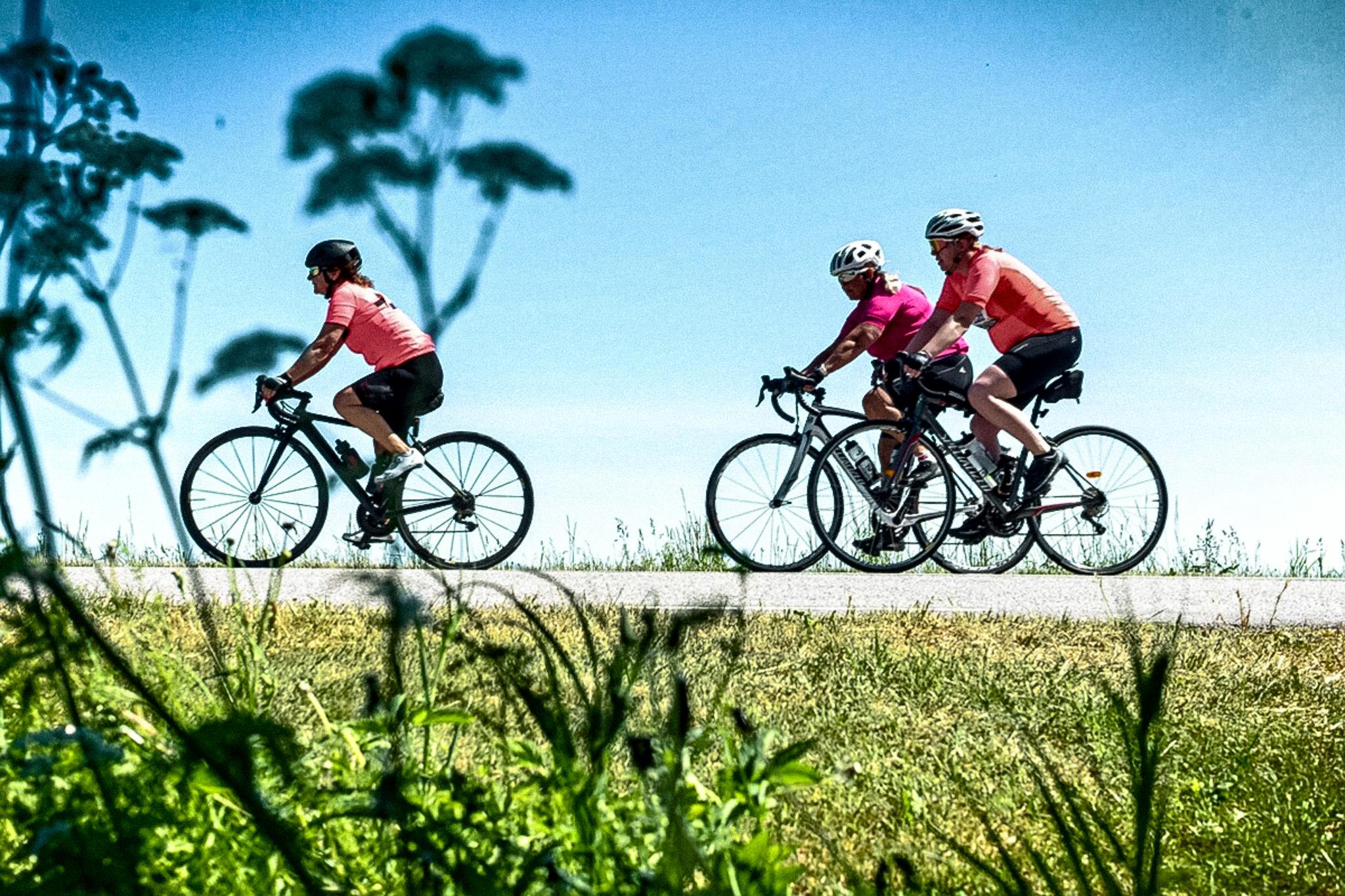 Three cyclists ride along a path on a sunny day.