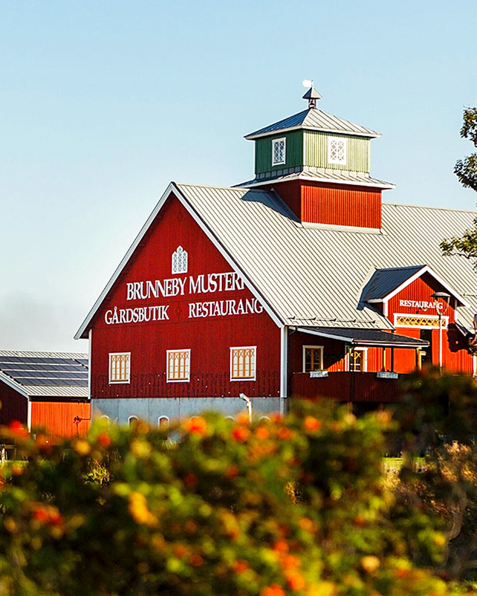 Large red building with a green cupola, bearing 'BRUNNEBY MUSTERI GÅRDSBUTIK RESTAURANG' signs. Solar panels are on a roof to the left, and blurred autumn foliage is in the foreground.
