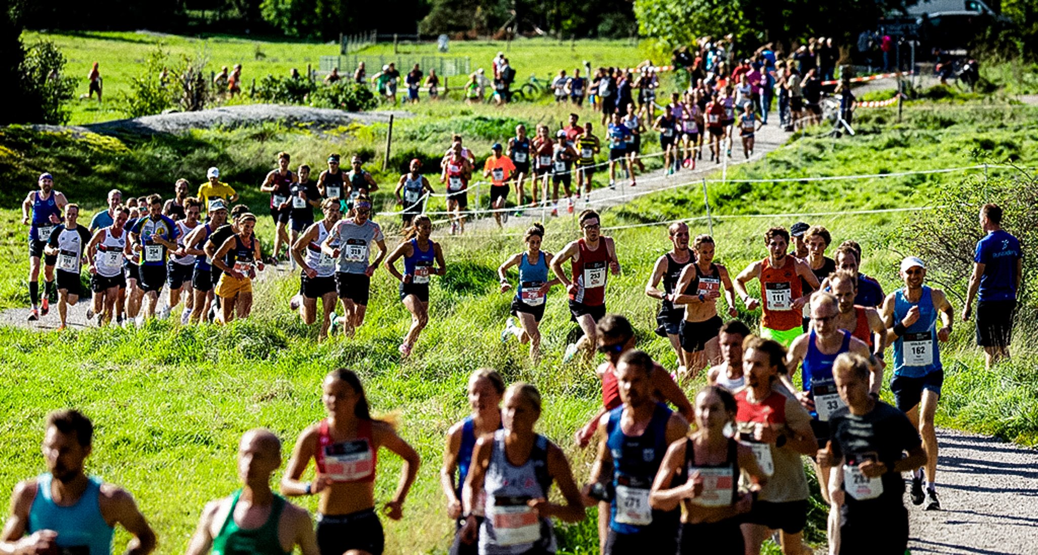 A large group of runners participating in a race on a path through a green, hilly landscape.