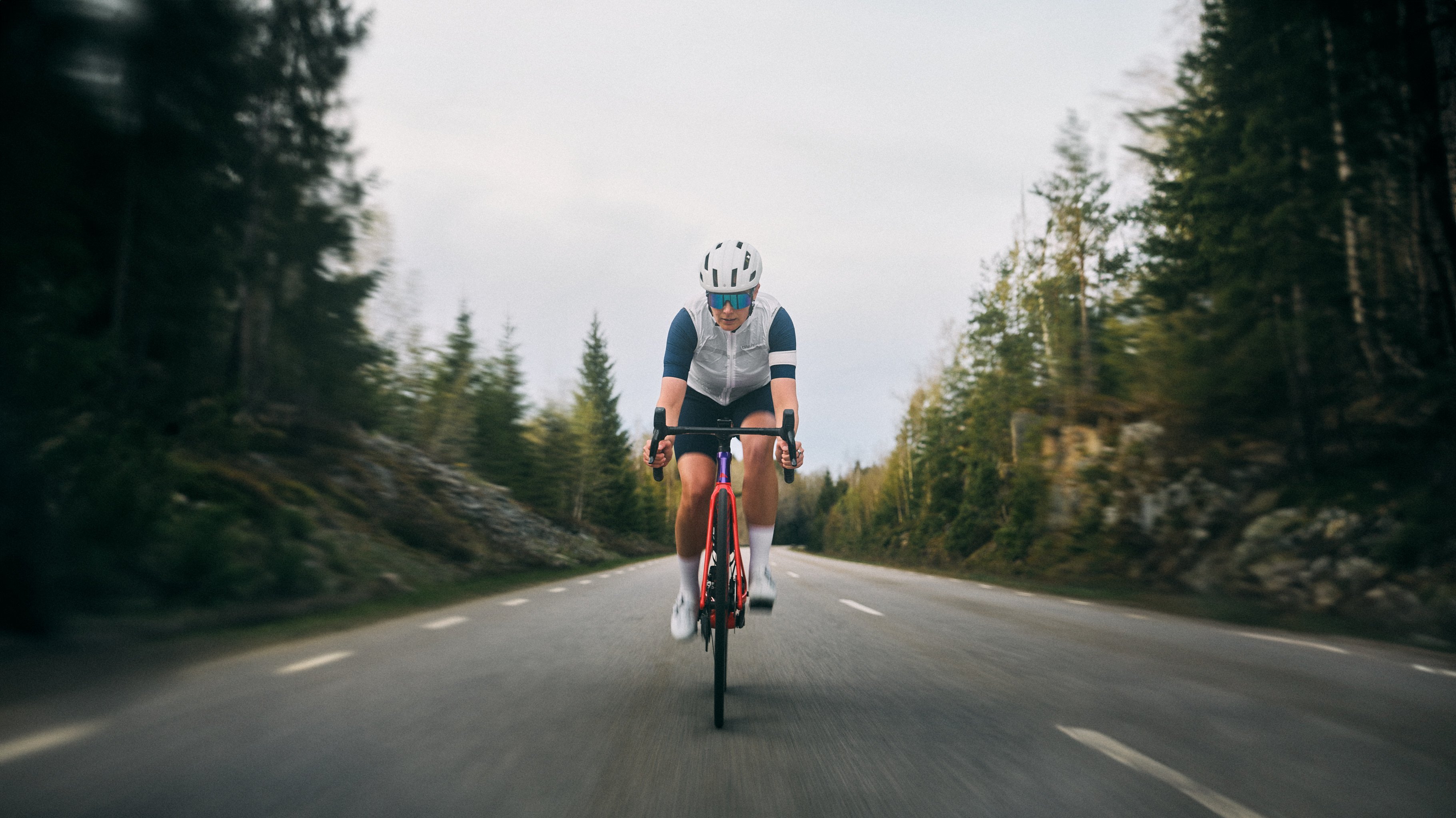 A cyclist on a red road bike speeds down a tree-lined road.