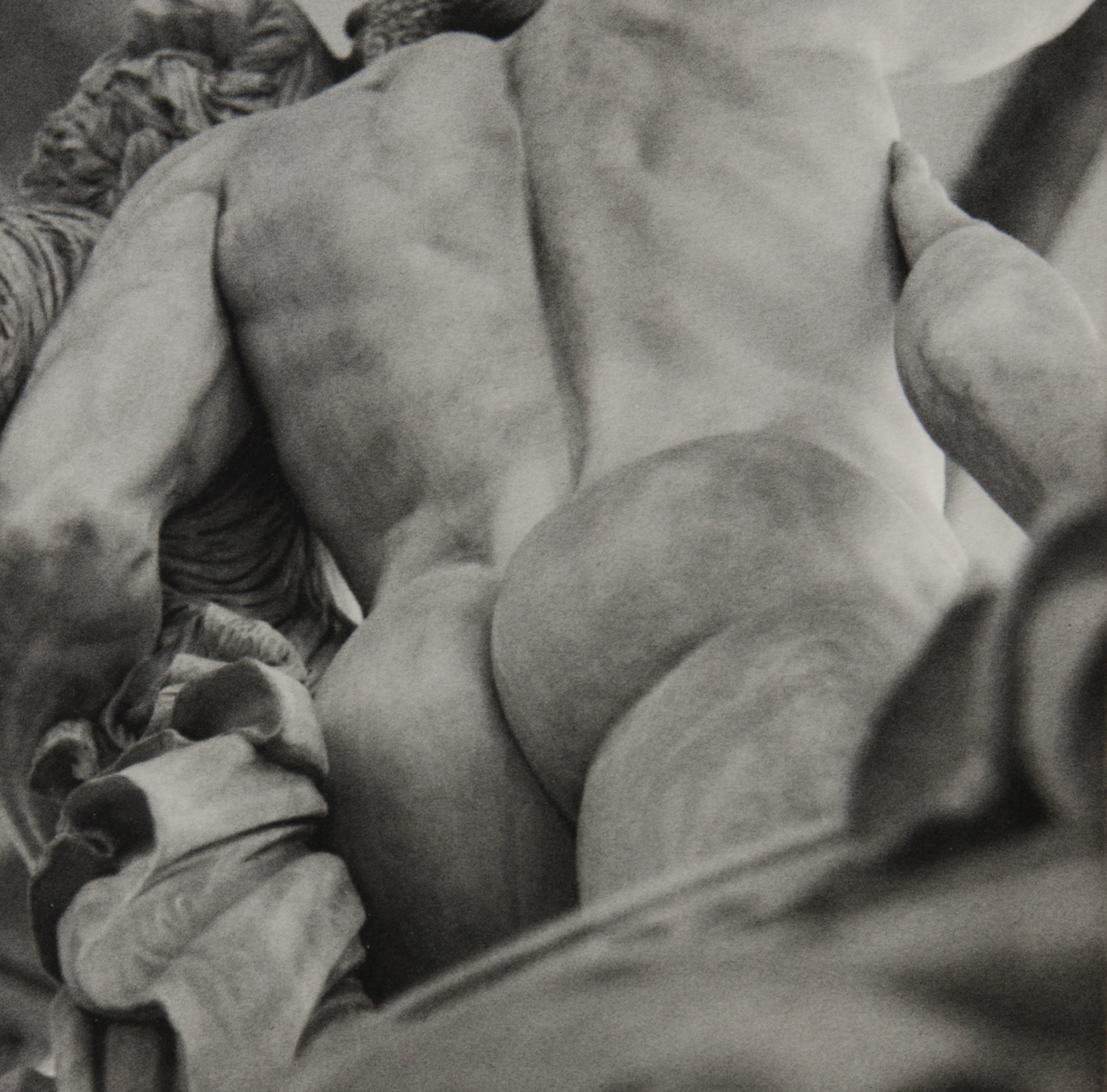 Photographs of the butts of Florentine sculpture punctuate a travel memoir sent to print before the mosquito bites had healed.