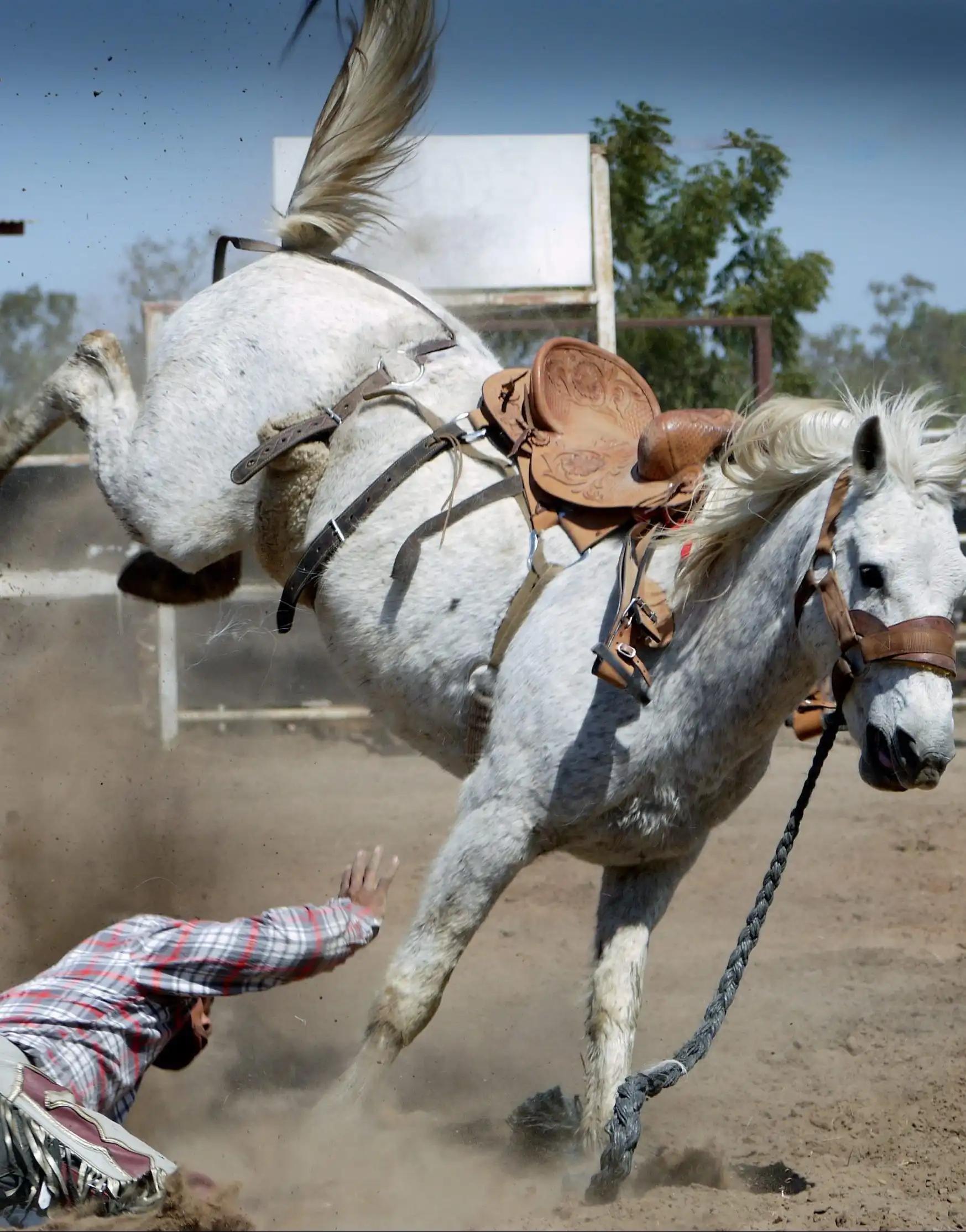 A horse knocks Ninjou's employee off its back, luckily accident insurance provides income protection and covers the treatment.