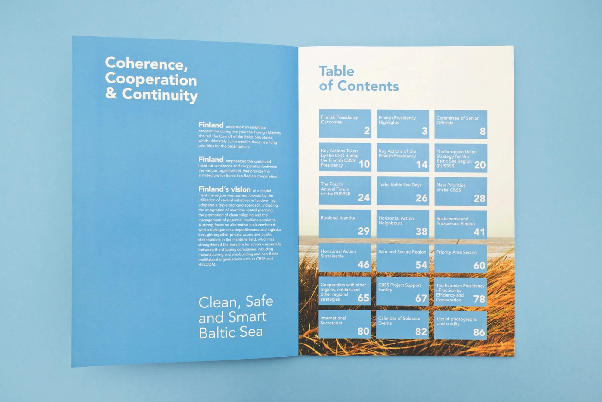 Annual report table of contents