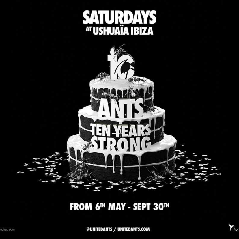 ANTS event artwork