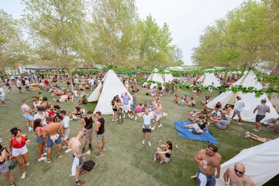 Family Piknik Festival FAQs | Gray Area