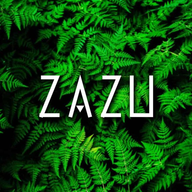 Zazu event artwork