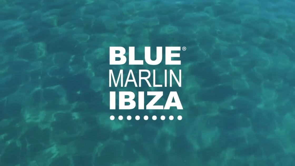 Blue Marlin | Gray Area