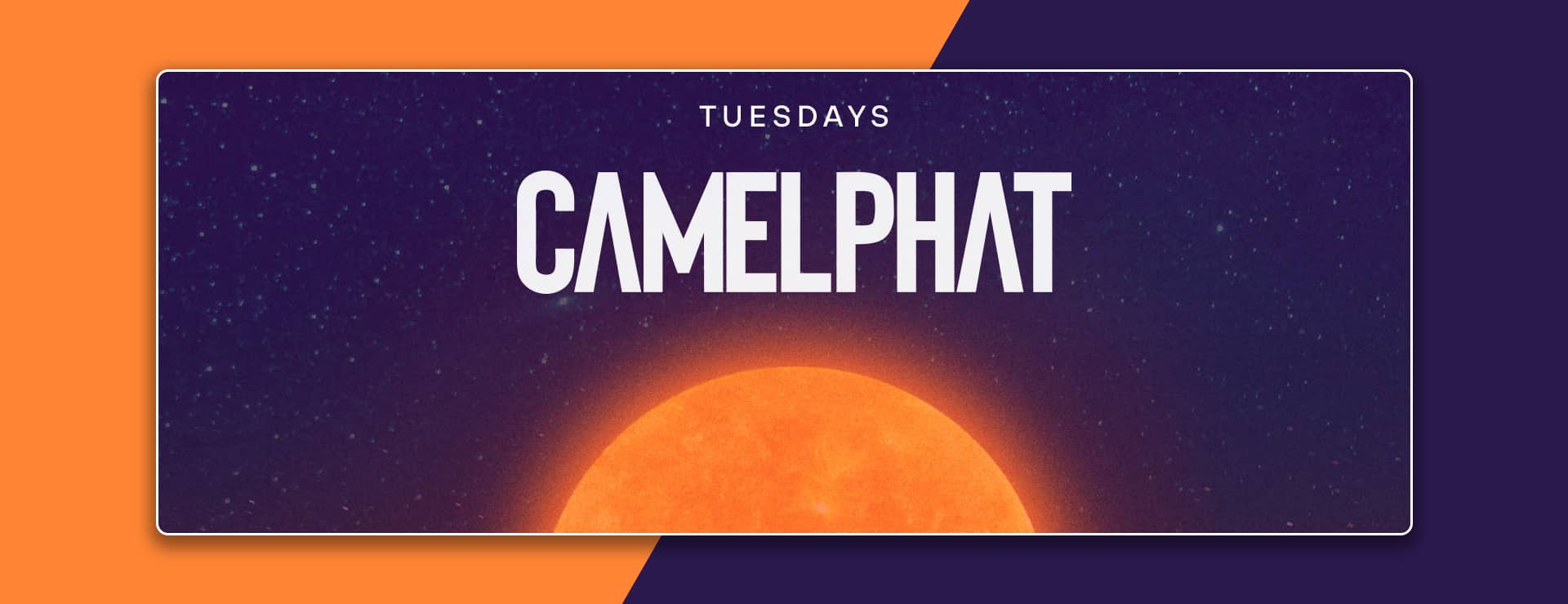 Camelphat At Pacha Ibiza At Pacha Ibiza | Gray Area