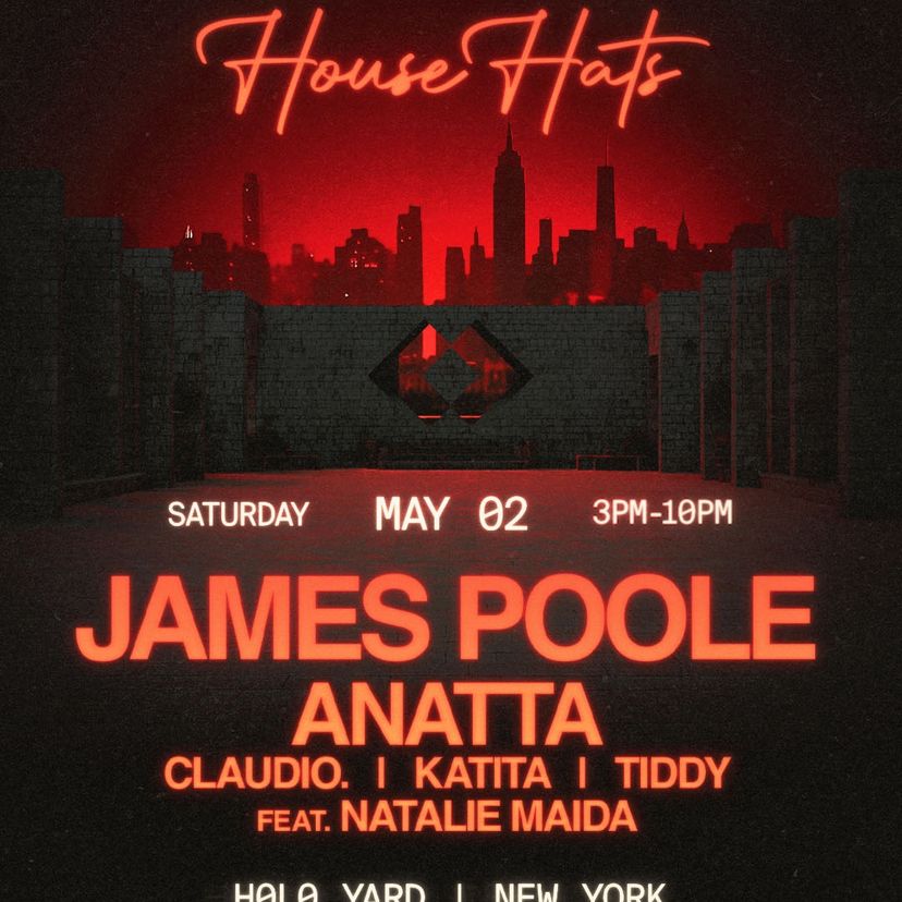 James Poole with ANATTA, Claudio. & Guests event artwork