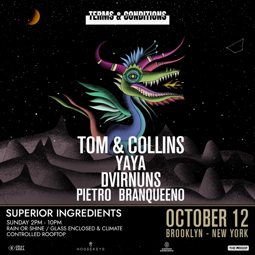 Debut: Tom & Collins Presents Terms and Conditions event artwork