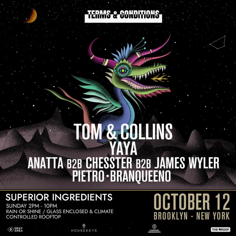 Debut: Tom & Collins Presents Terms and Conditions event artwork
