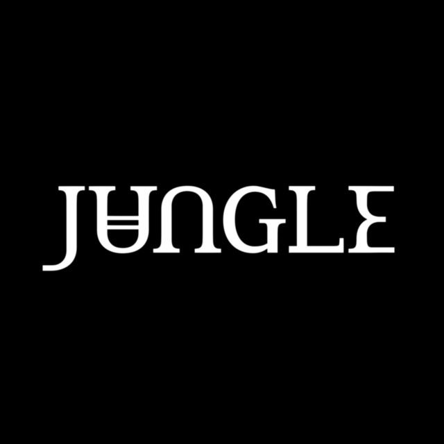 Photo of Jungle