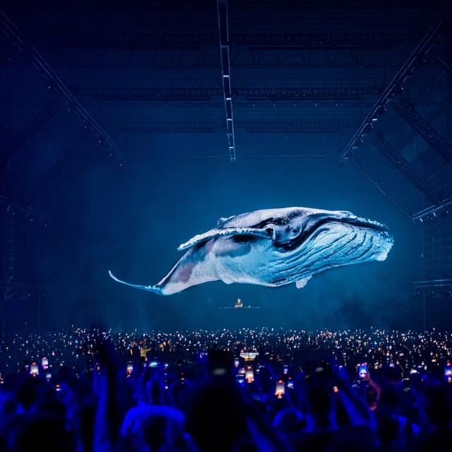 Photo of ARCA