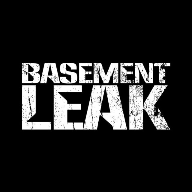 Photo of Basement Leak