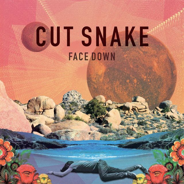 Photo of Cut Snake