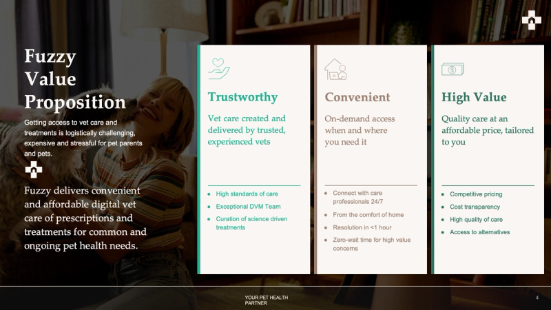 Example 5-year vision & strategy at Fuzzy