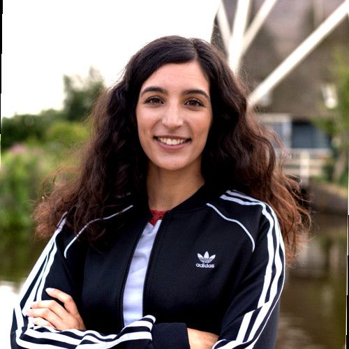 Stakeholder impact assessment and risk register for Alexa AI