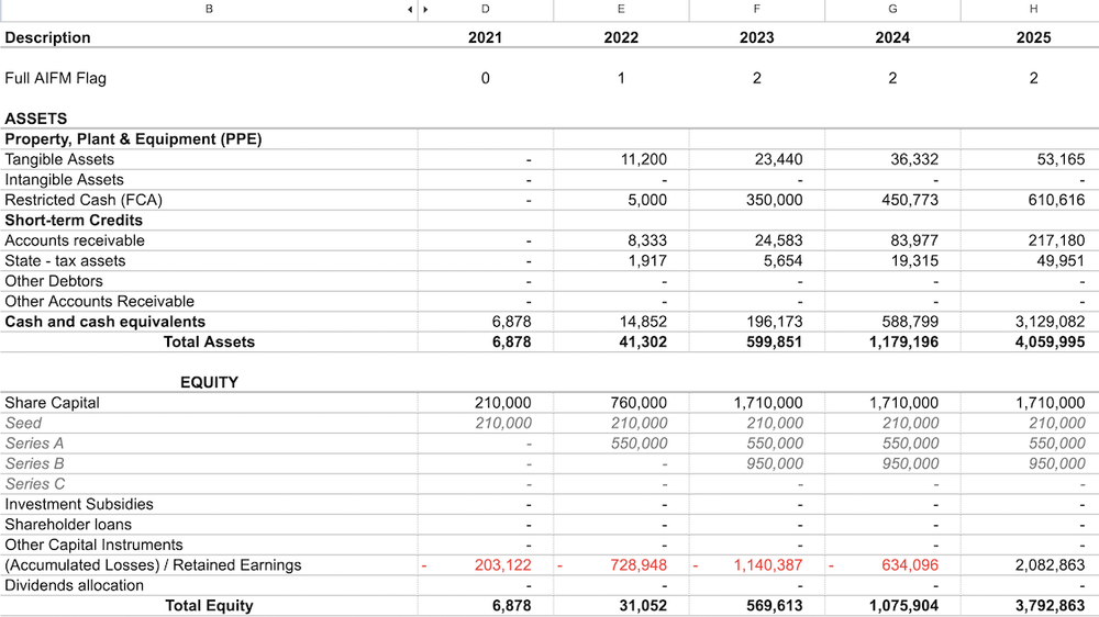 Monthly financial planning template for SaaS startups