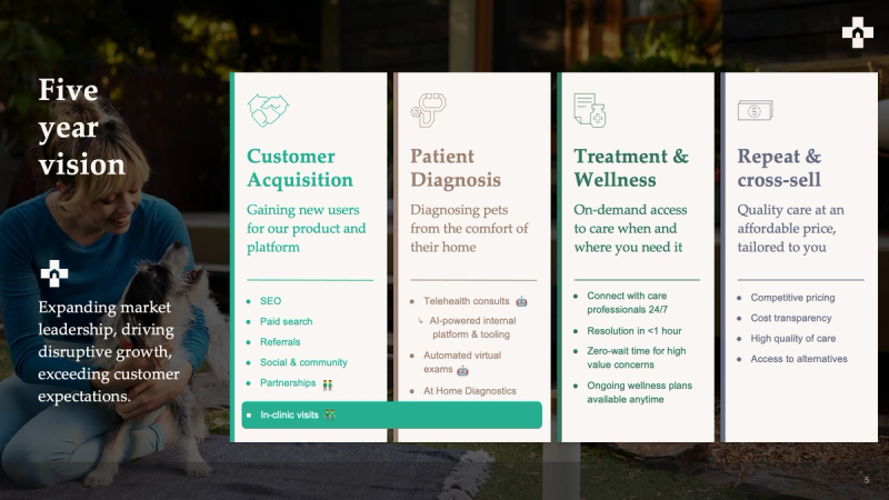 Example 5-year vision & strategy at Fuzzy