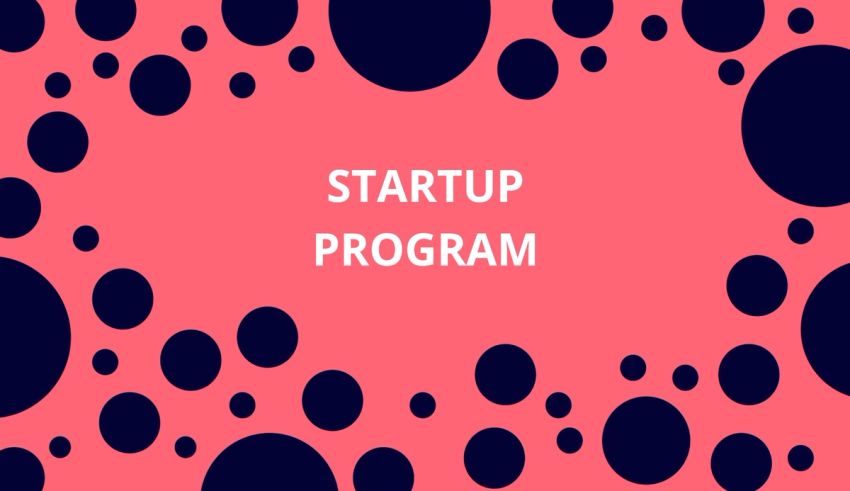 Miro for Startups Initial Program Proposal
