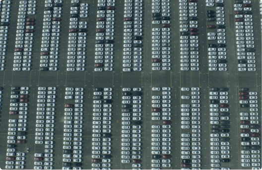 Articulate the vision for your scope of work