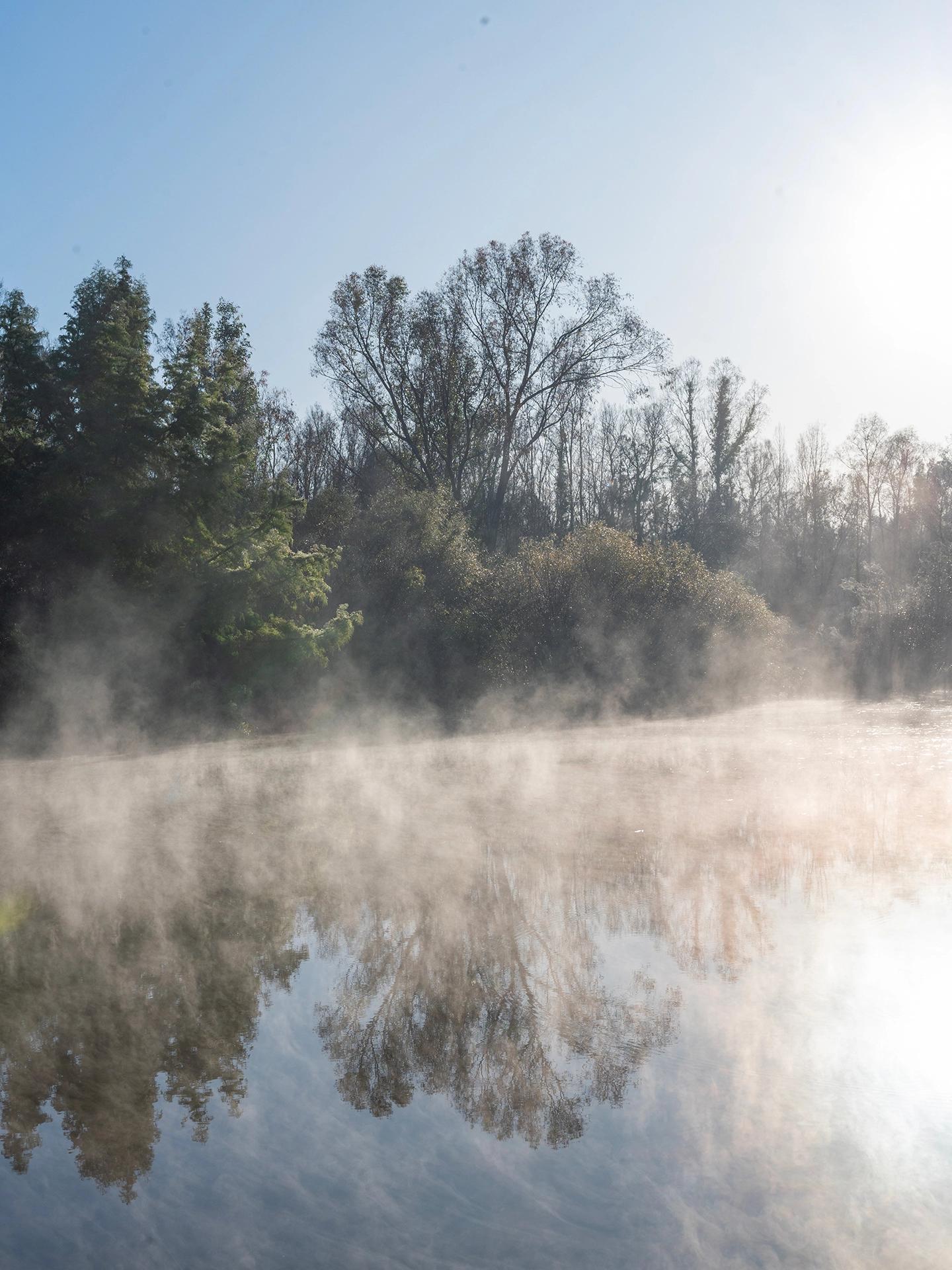 Misty Reflections