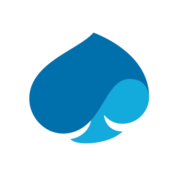 Capgemini logo