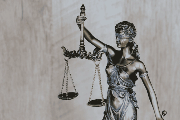 Legal Practice Management System - Technology case study showing results and implementation details