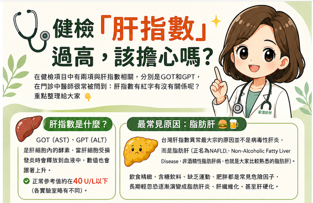 肝指數過高：小心脂肪肝！