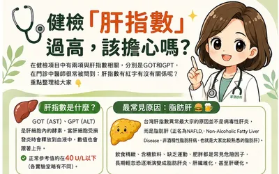 肝指數過高:小心脂肪肝!