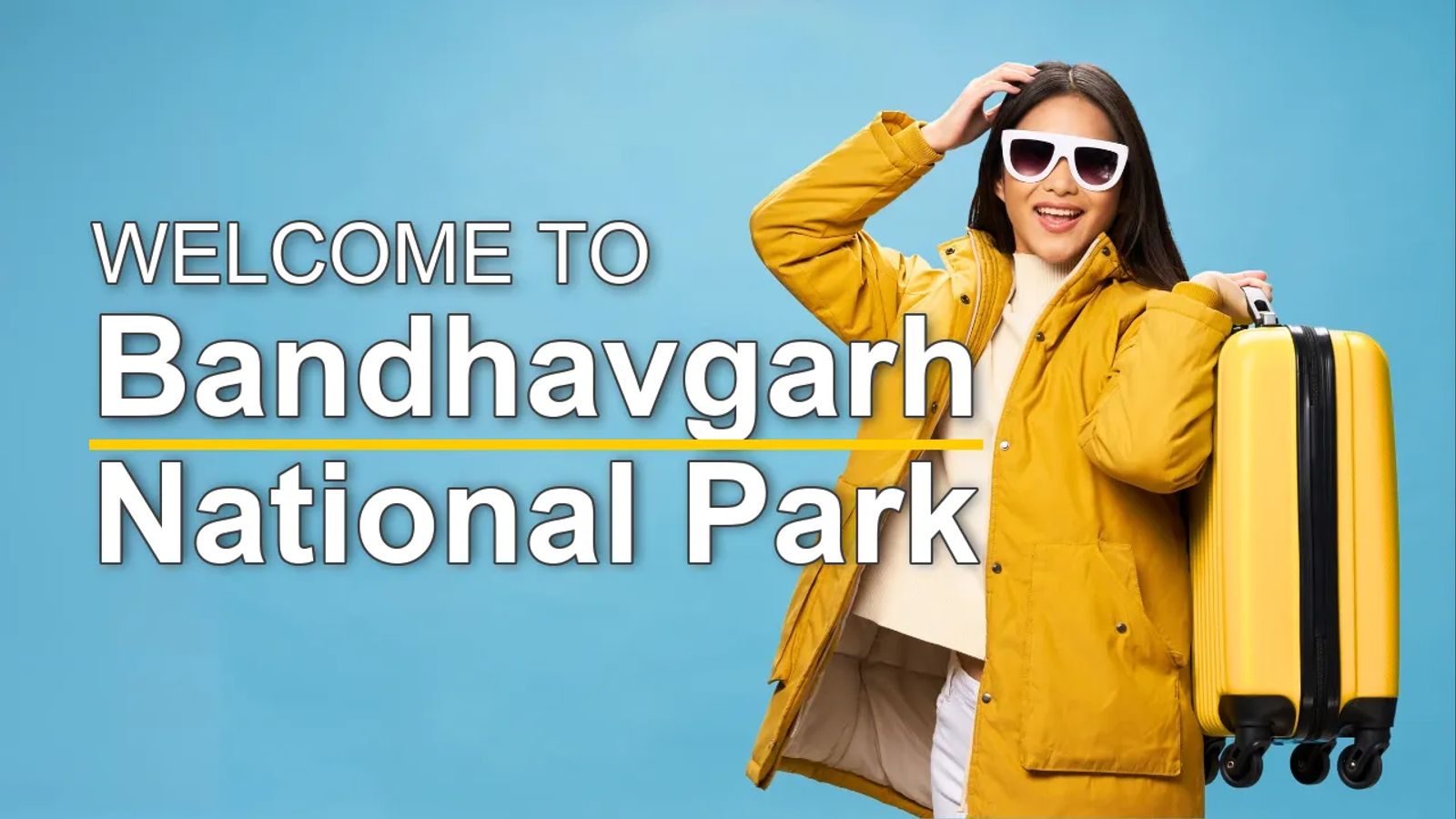 The Best Sightseeing Tours in Bandhavgarh National Park for First-Time Visitors - STR Specialist