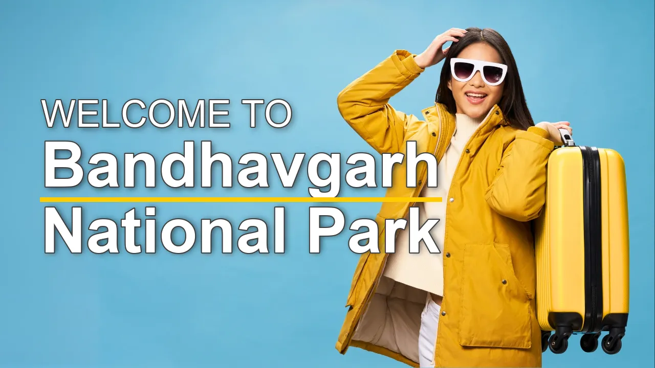 The Best Sightseeing Tours in Bandhavgarh National Park for First-Time Visitors - STR Specialist