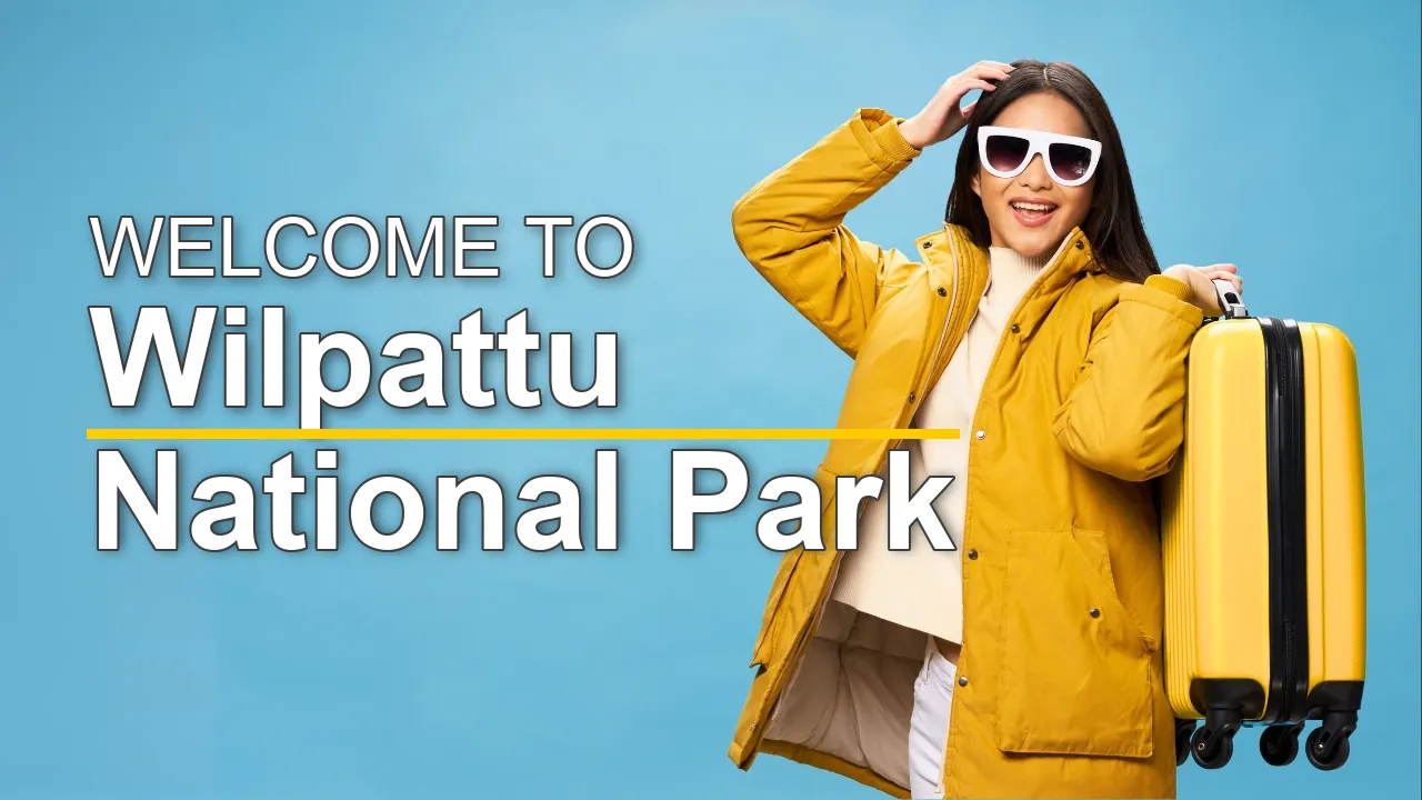 The Ultimate Travel Guide for Wilpattu National Park - STR Specialist
