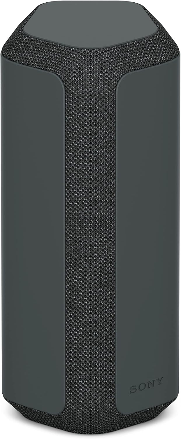 Sony SRS-XE300 – product image